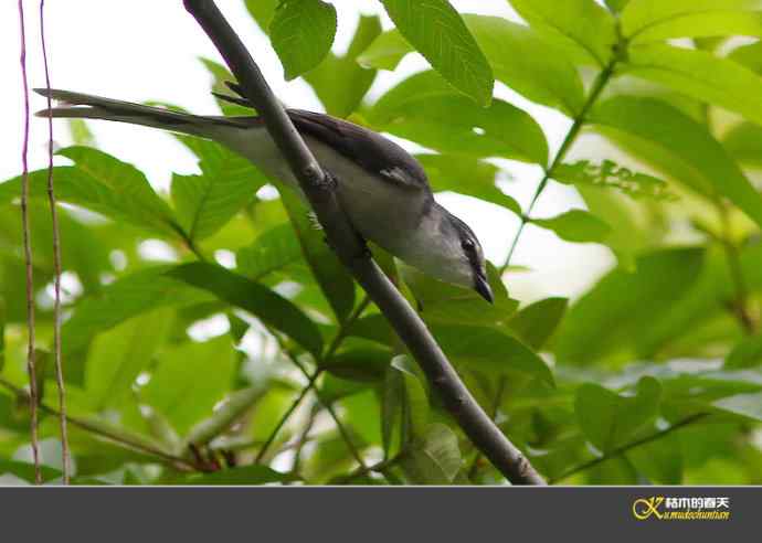拍鈥溁疑浇纺疋澕侨ぁ菊掌