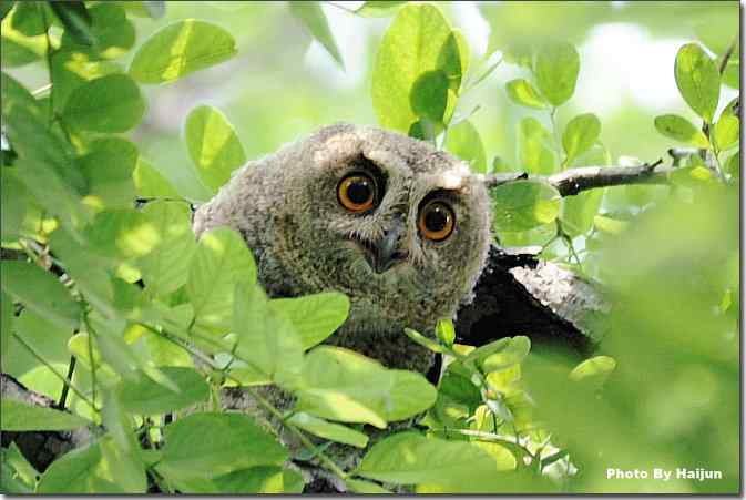  点击图片或使用键盘← →翻页