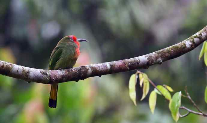 这二货是喝醉了 wbr还是关二爷穿越 这二货是喝醉了 wbr还是关二爷穿越