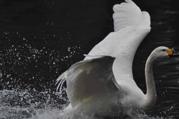 20100505当日总结