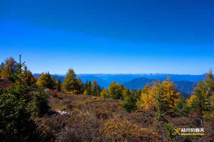 帕姆岭拍的鈥湸笤腽题