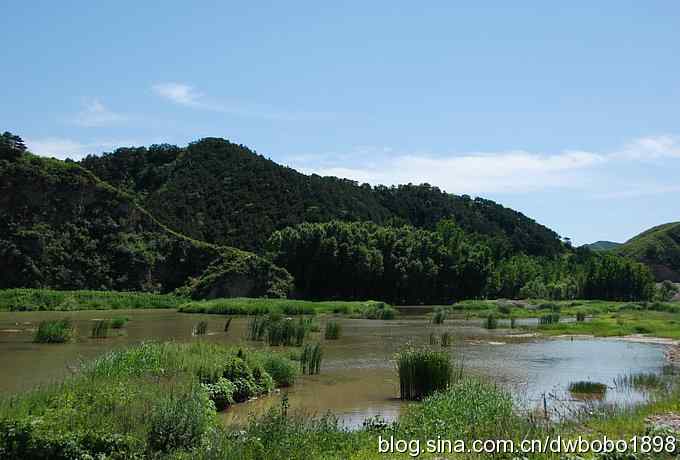 冒酷暑寻拍绿鹭 wbr长途奔袭古北口