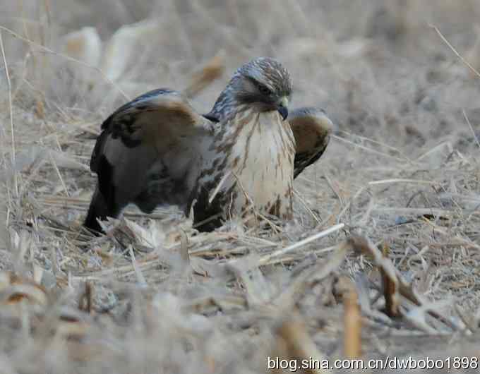 岁末再访白河峡谷 岁末再访白河峡谷