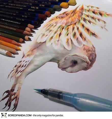 水溶彩铅动物绘画