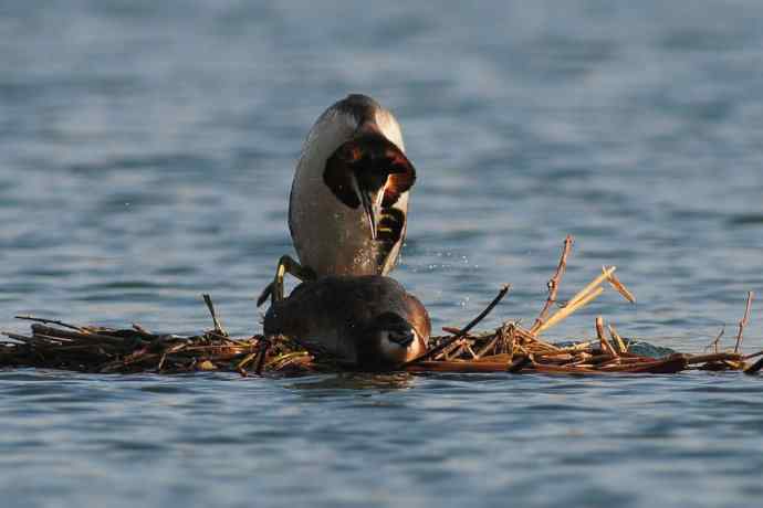清明假日惬意的午后时光