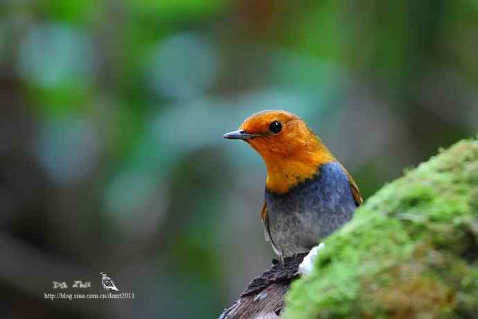 生日的收获鈥斺斎毡靖桊