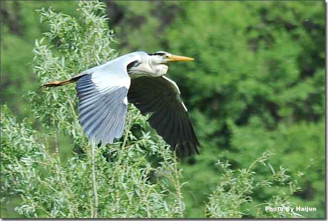  点击图片或使用键盘← →翻页