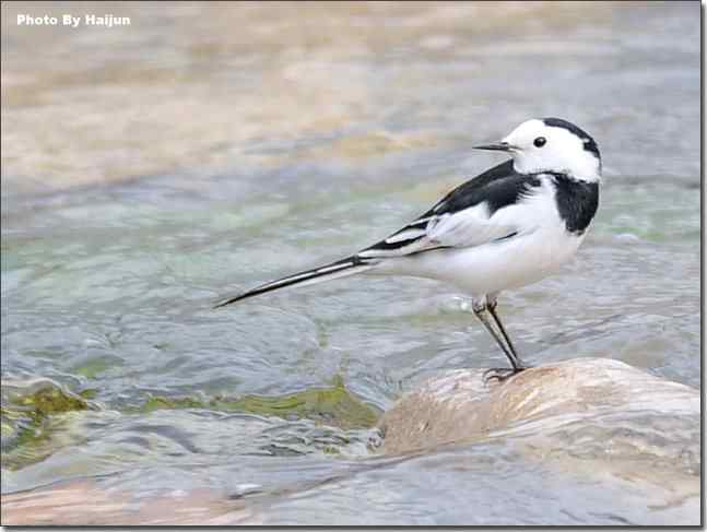  点击图片或使用键盘← →翻页