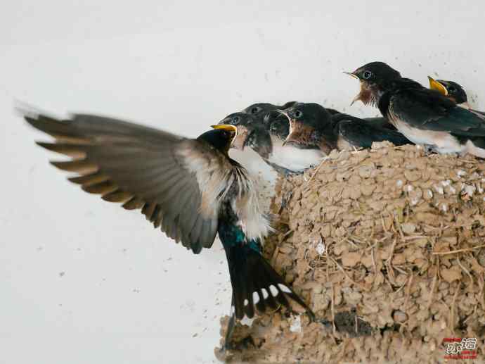 敬畏生命 敬畏生命