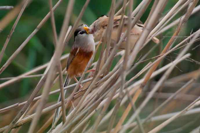 萌态可掬的鈥溦鸬┬∪糕☆★ 萌态可掬的鈥溦鸬┬∪糕☆★