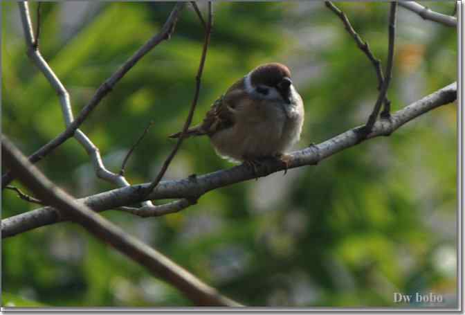 点击图片或使用键盘← →翻页