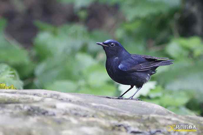 记录鈥湴孜怖兜仞垛