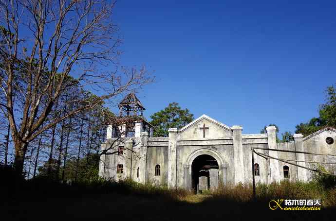 云南拍鸟的几张记录片 云南拍鸟的几张记录片