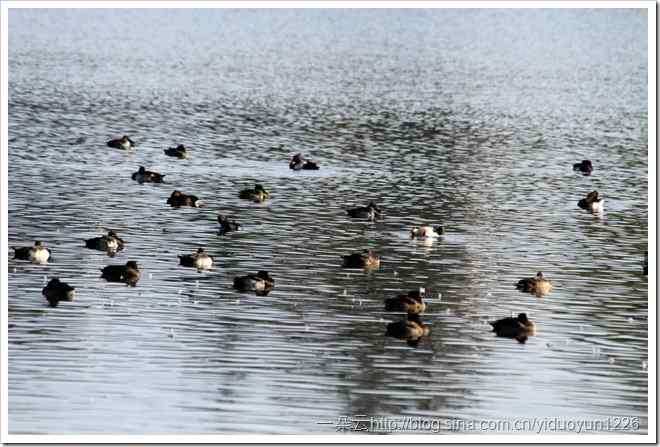 20111023 453 20111023 453