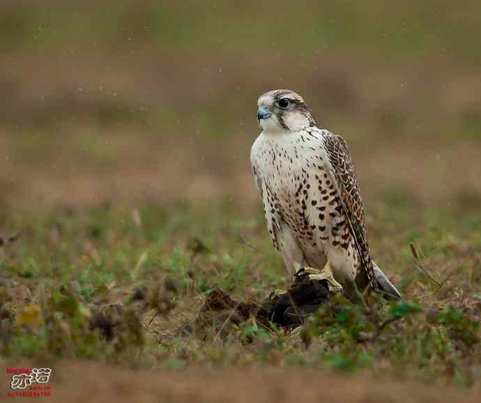 官厅水库 wbr路 wbr金秋十一猛 官厅水库 wbr路 wbr金秋十一猛