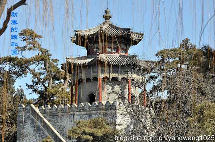 颐和园的收获(欢乐的太平鸟)1 颐和园的收获(欢乐的太平鸟)1