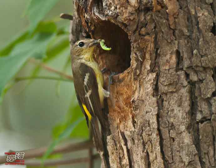 敬畏生命 敬畏生命