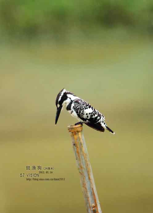 呼朋唤友鈥斺敯哂婀