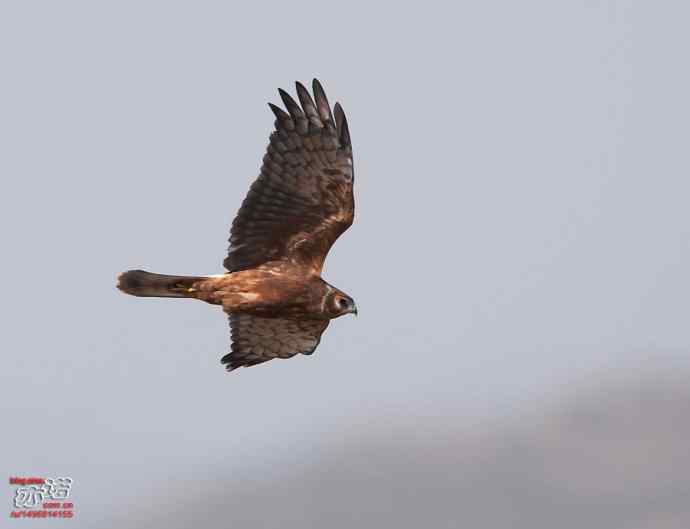 官厅水库 wbr路 wbr金秋十一猛 官厅水库 wbr路 wbr金秋十一猛