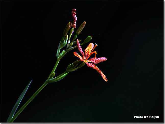 天要下雨 鸟要觅食