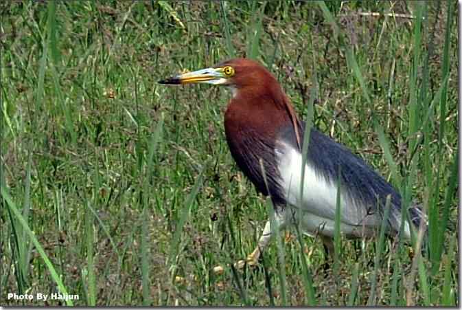  点击图片或使用键盘← →翻页