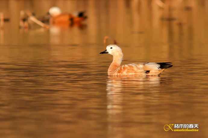 再拍鈥湷嗦檠尖