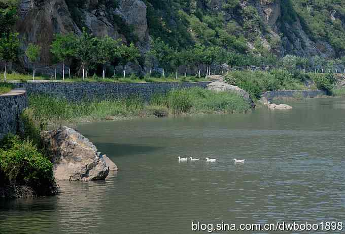 白河峡谷鸟调生境片