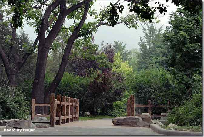  点击图片或使用键盘← →翻页