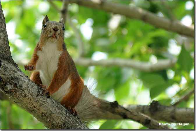  点击图片或使用键盘← →翻页