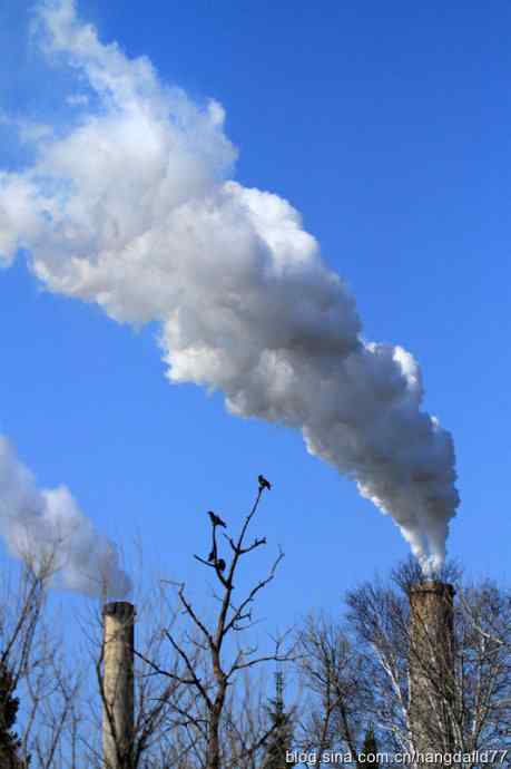 任凭浓烟滚滚，俺等岿然不动