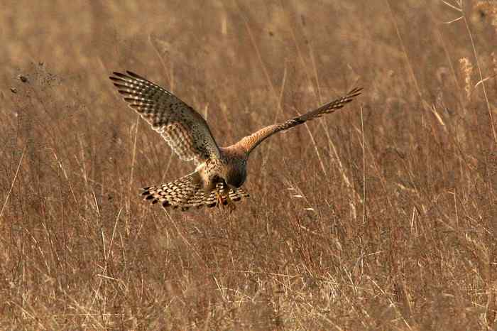 杭州老郑摄影续