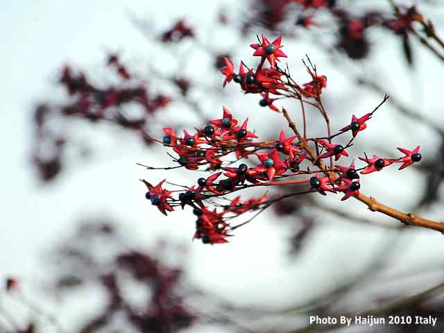 【亚平宁半岛之旅 wbr. wbr疑似洋家雀】