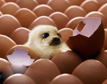 乱伦的后果 乱伦的后果