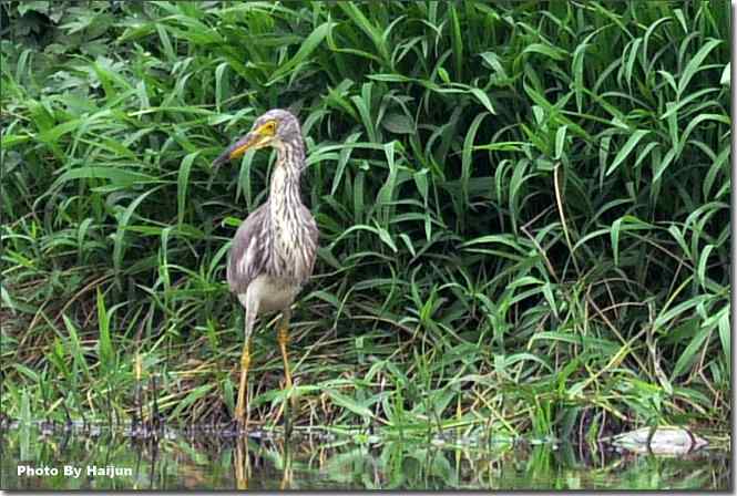  点击图片或使用键盘← →翻页