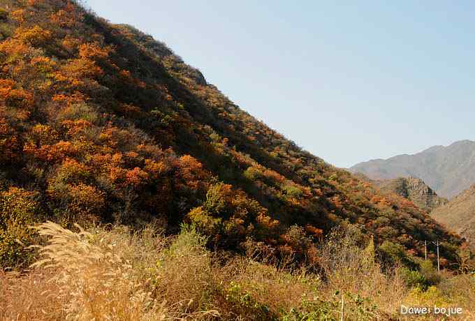 永定河湿地观鸟秋游