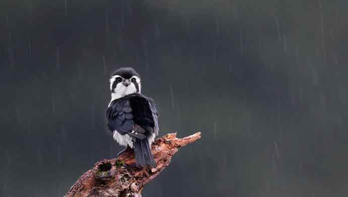 初冬婺源一日印象