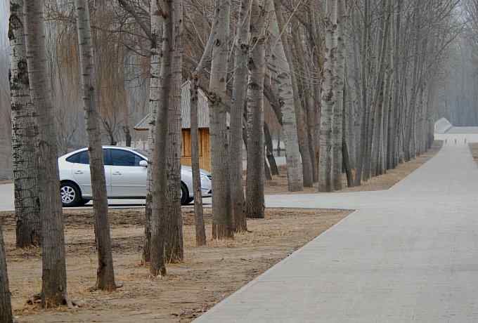 汉石桥湿地的斑嘴鸭 汉石桥湿地的斑嘴鸭