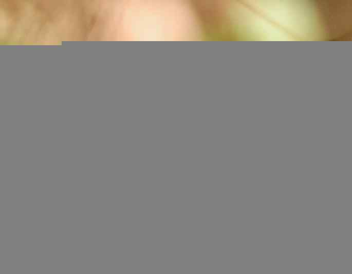 北京植物园&nbsp;wbr路&nbsp;wbr鹪（jiao）鹩（liao）