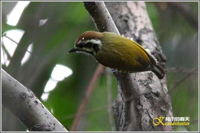 阳光明媚好心情【照片】 阳光明媚好心情【照片】