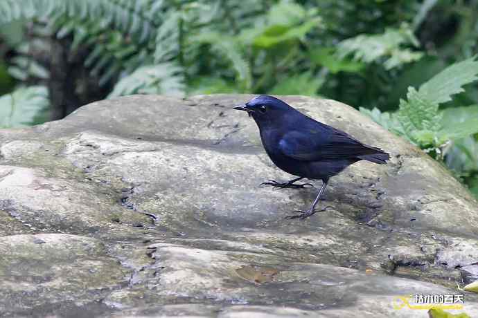 记录鈥湴孜怖兜仞垛