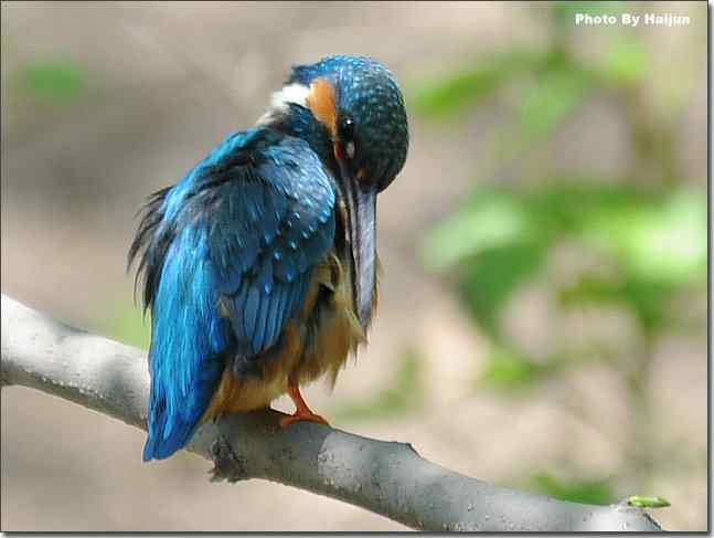  点击图片或使用键盘← →翻页