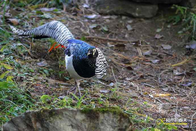 康定拍鈥湴赘菇跫︹