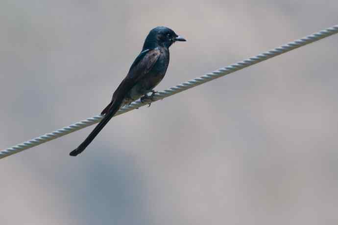 【综合】山间风景“线”