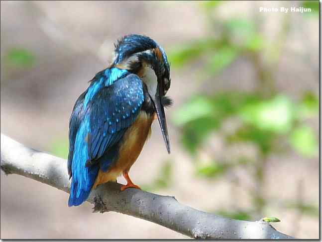  点击图片或使用键盘← →翻页