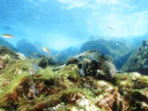 天生猎手:非猛禽类猎手之七 天生猎手:非猛禽类猎手之七