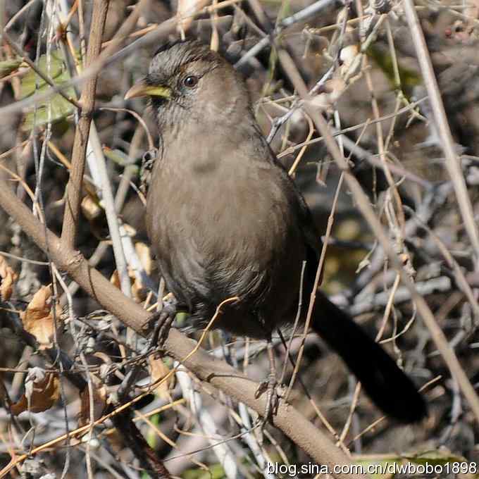 秋到白河湾 秋到白河湾