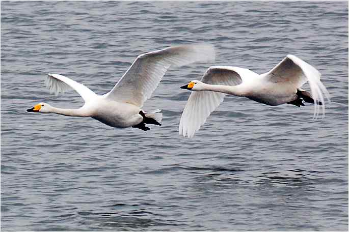 点击图片或使用键盘← →翻页