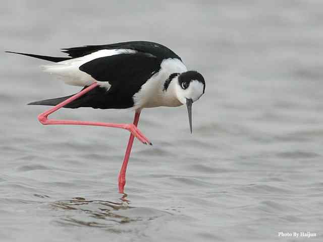 我憧憬那湾碧水 wbr. wbr我流连那片土地