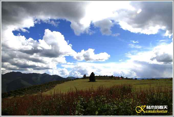 川西高原行&bull;大美川西【照片】