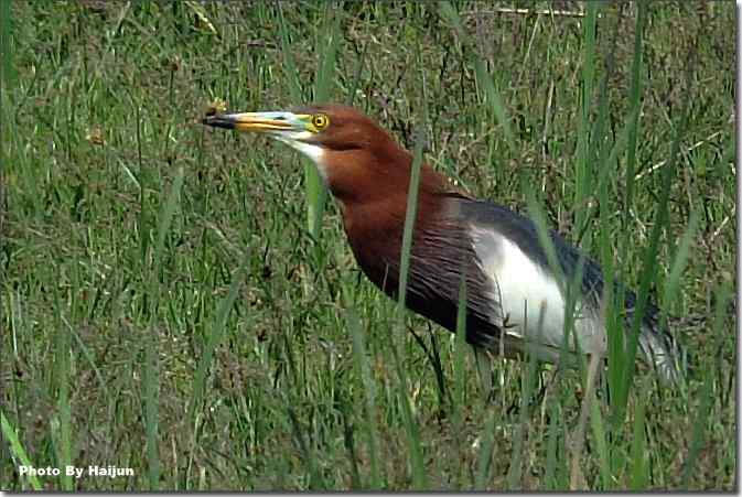  点击图片或使用键盘← →翻页